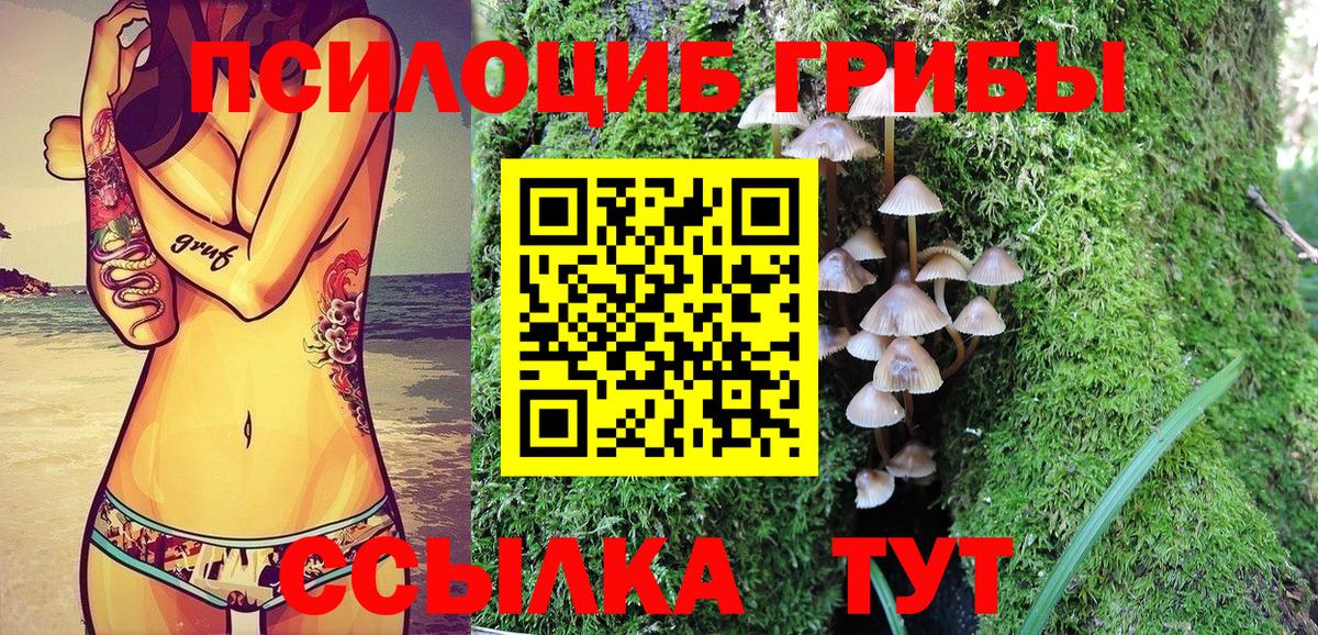 Галлюциногенные грибы мицелий Тулун